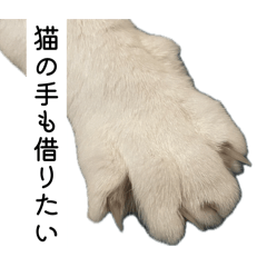 kimi_20260503000213