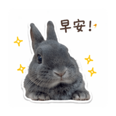 饅頭臭寶