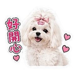 米家寶貝（菲_Miffy)