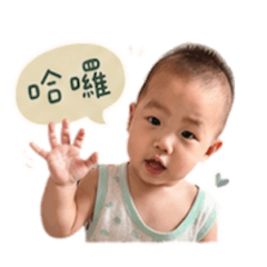 小豬豬-日常用語篇