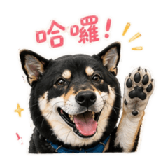 小黑柴 日常用語篇～