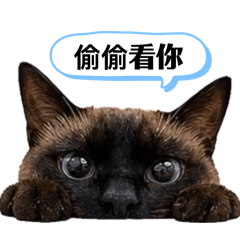 奶茶胖成球