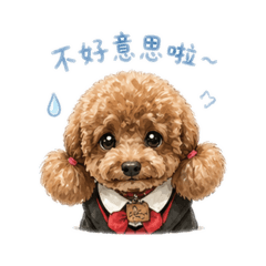 體貼的小Q