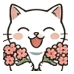cool white cat02