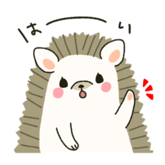 kohisa_20260501093202
