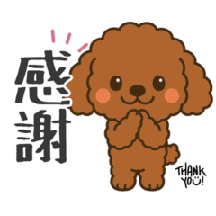 Daily Use Toy Poodle Stickers