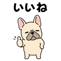 Lazy Frenchie Daily Stickers
