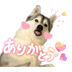 runa_20260502093255