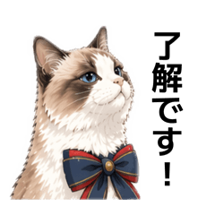 Cat House_20260502100608