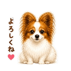 dog2026 1