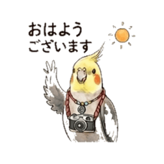 Cockatiel - Daily Chat Stickers