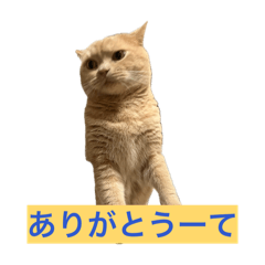 HSK STUDIO_20260502102913