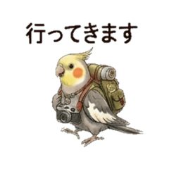 Cockatei - family Daily Chat Stickers