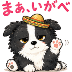 Tsugaru Border Collie Chacha-maru Vol.1