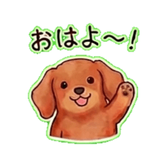 Daily Chat Stickers-Dachushund