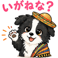 Tsugaru Border Collie Chacha-maru Vol.2