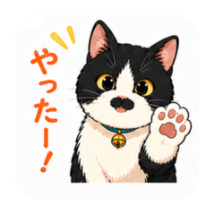Sasa_20260502105855
