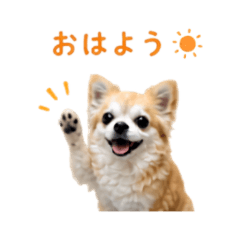Cozy Chihuahua Daily Stickers Vol 2