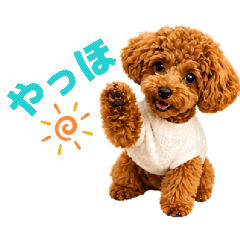 mayuharu_20260502112808
