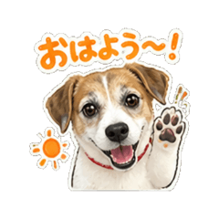 Kurumi-chan - Daily Chat Stickers