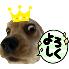 jondesuyo