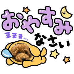 miku_20260503002855