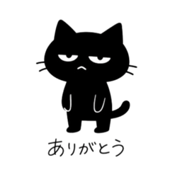 A lazy black cat with half-lidded eyes.