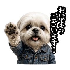Miyazaki Co., Ltd._20260504072902