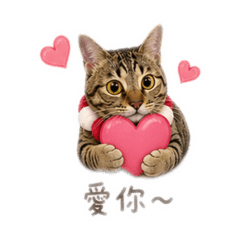 小寶⋆౨ৎ˚⟡˖ ࣪