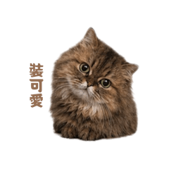 Isis A