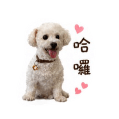 巴弟弟