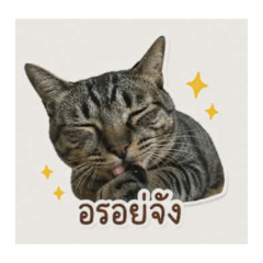 jenya65