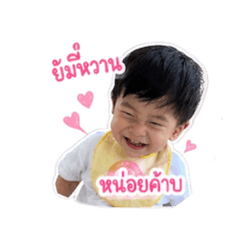 Nut_20260428111613