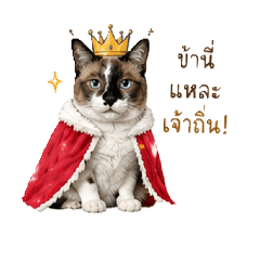 Luckynice