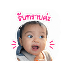 aom_20260428112838