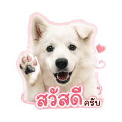 Paw-some 2