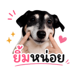 Dog dog dot