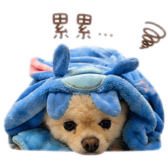 棉花糖問候語