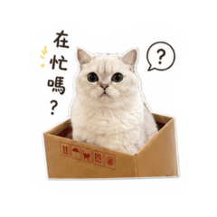 郭少飛同學，參上！！