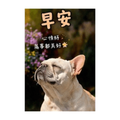 豆奶簡單問候