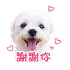 我是荳菜