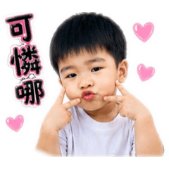 yo-yo來了