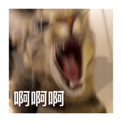李圓圓是我寶寶