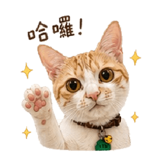 古錐の阿斗