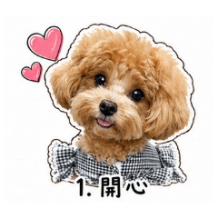 小萌萌娜娜