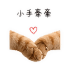 小咪花戀愛日常