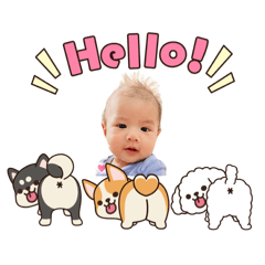 Wa P_20260428113009