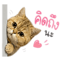 love_20260501175203