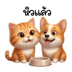 Thai-Korean_20260501125933