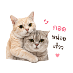 Kittipat Wongsangchan_20260501210313